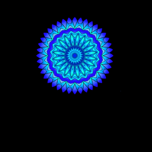 Women’s Premium Cotton T-Shirt